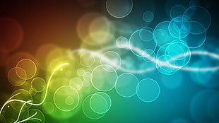 green and yellow circle photography
