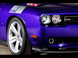 purple and white car toy, Dodge, Dodge Challenger, car, purple