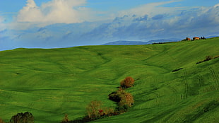 green grass field painting, nature, landscape, clouds, hills