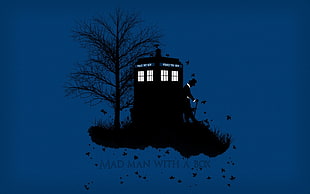 Mad Man With A Box digital wallpaper, Doctor Who, The Doctor, TARDIS, simple background