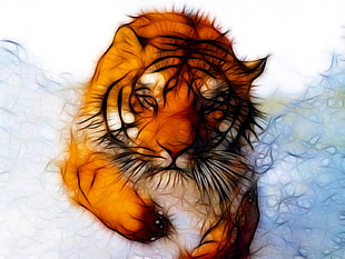 orange tiger illustration, tiger, CG