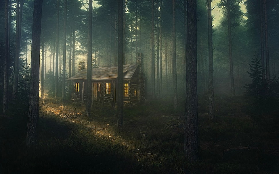 brown wooden house, nature, landscape, forest, mist HD wallpaper