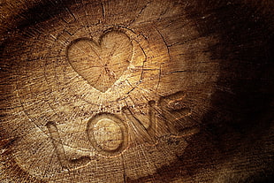 Love engrave decor HD wallpaper