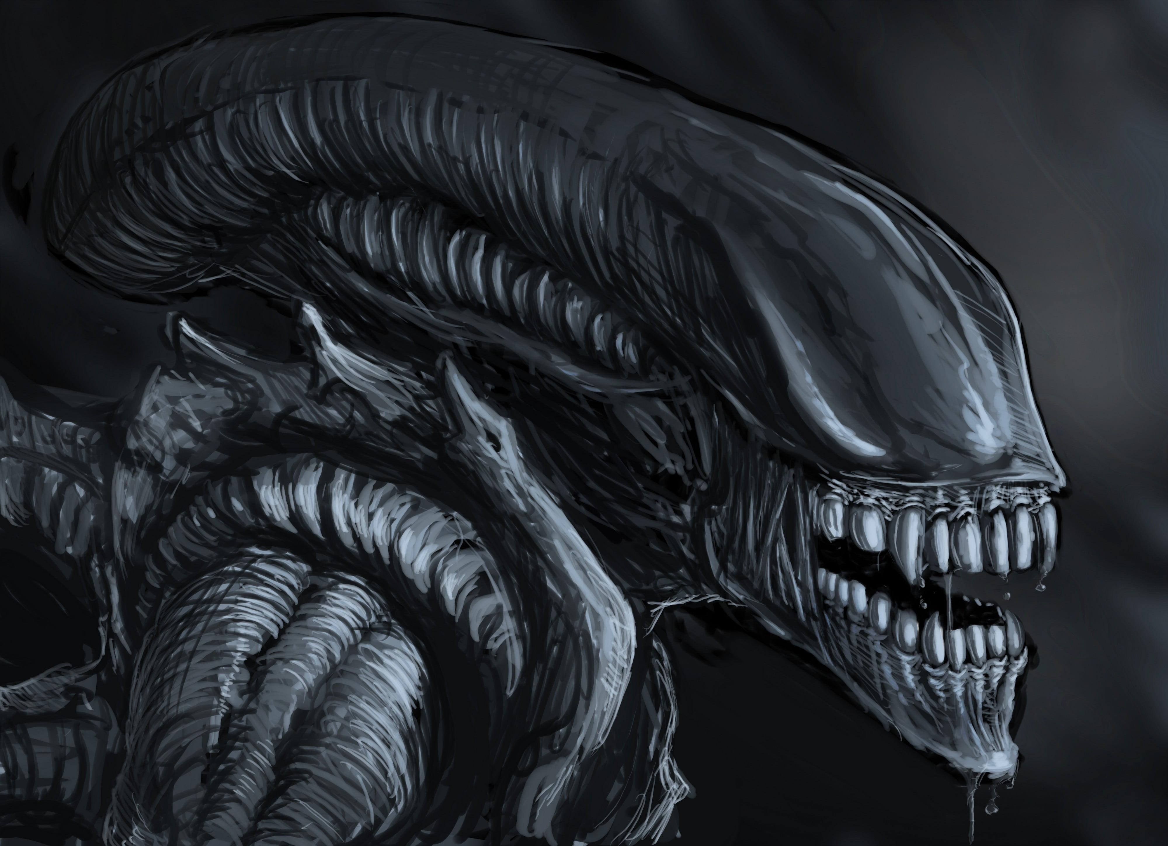 [Image: artwork-xenomorph-alien-movie-black-wallpaper.jpg]