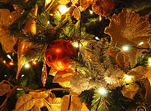 close-up photography of orange baubles on Christmas tree with string lights