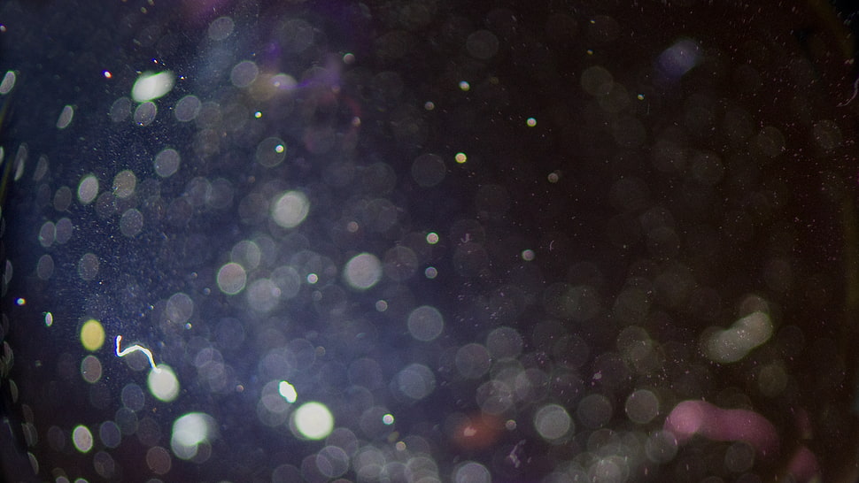 rain HD wallpaper