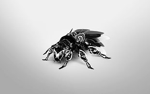 black and white skull illustration, Fly, digital art