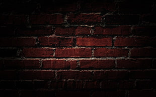 close up photography of red concrete brick wall