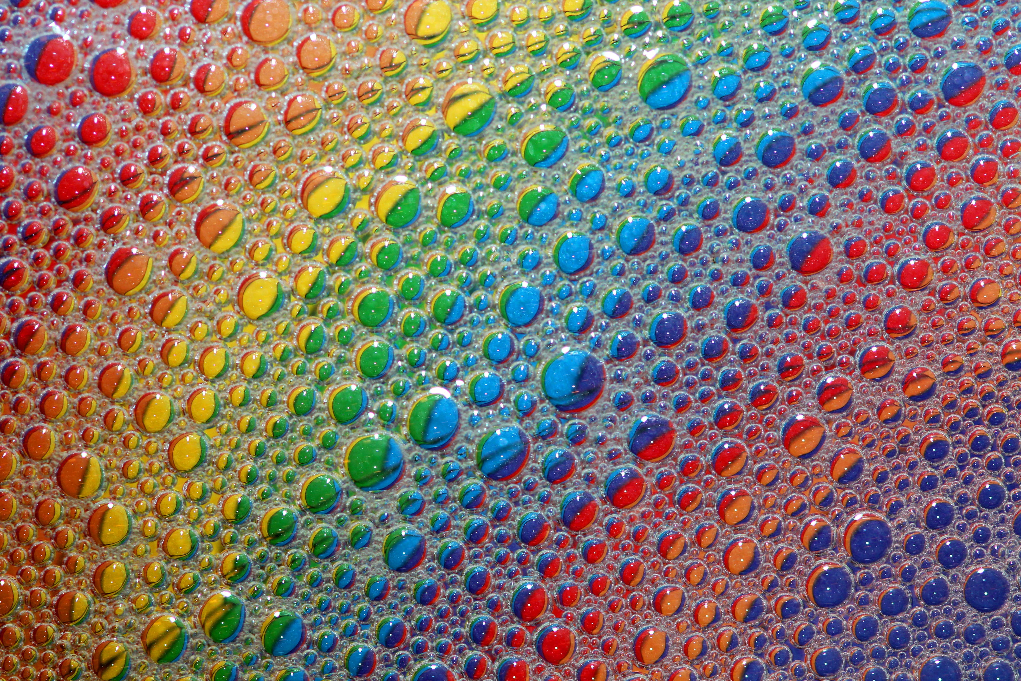 macro photography of assorted water colors