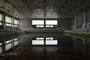 gray and blue swimming pool, abandoned