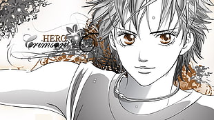 Hero Crimson 6 wallpaper, anime