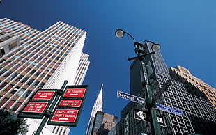 black and red street signage, cityscape, New York City, Manhattan, signs