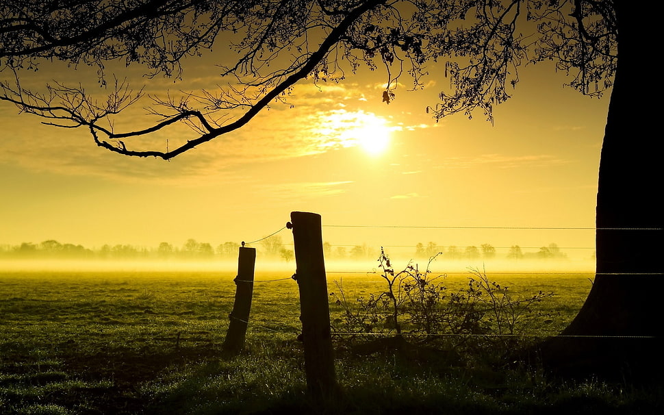 sunset illustration HD wallpaper
