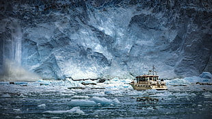 beige cruise ship, Arctic, sea, nature, boat HD wallpaper