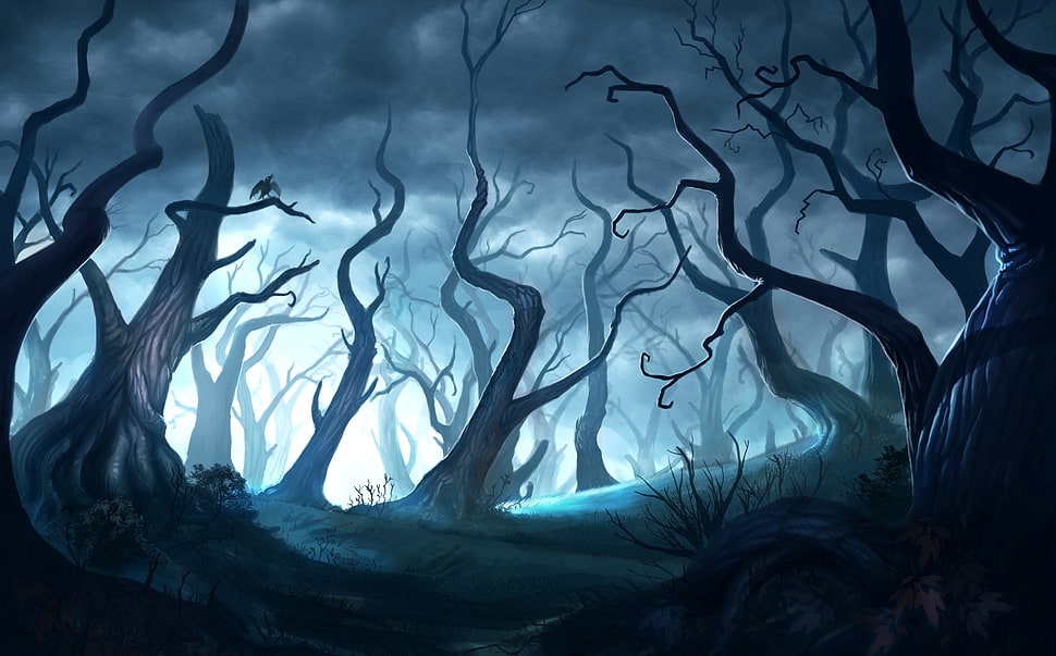 forest digital wallpaper, fantasy art, artwork HD wallpaper