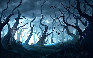forest digital wallpaper, fantasy art, artwork