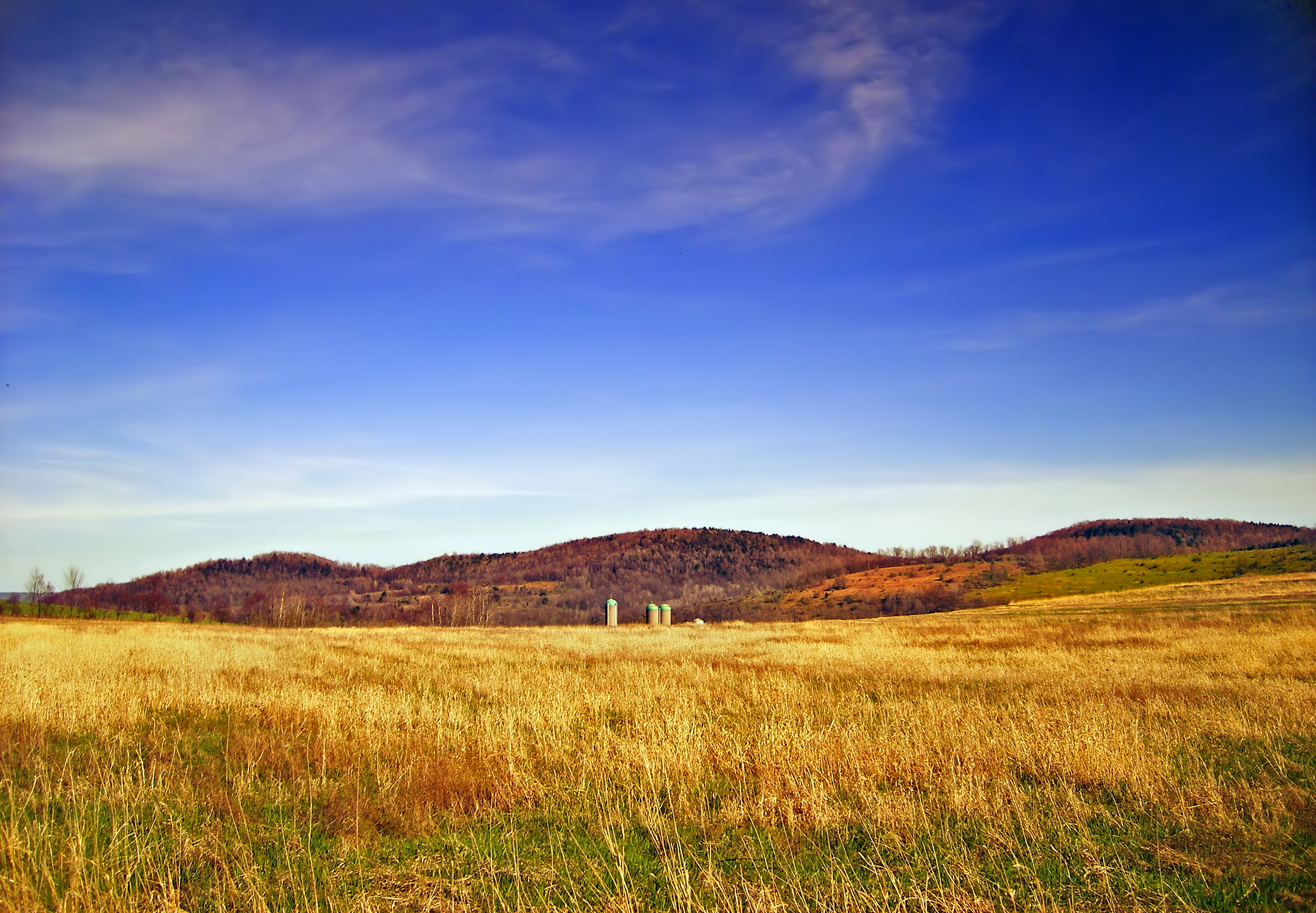 brown and green grass field landscape photo