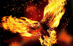 phoenix illustration, fire, eagle, animals, digital art