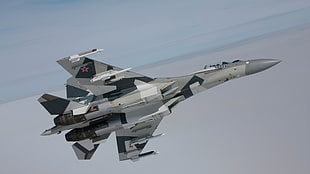 gray fighter jet, military, military aircraft, jet fighter, Sukhoi
