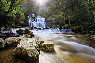river and rocks surrounded by trees in time lapse phot, liffey