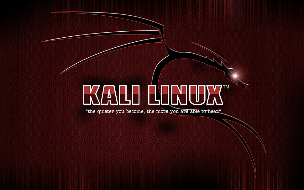 Kali Linux logo, Kali Linux, Linux HD wallpaper
