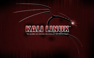 Kali Linux logo, Kali Linux, Linux