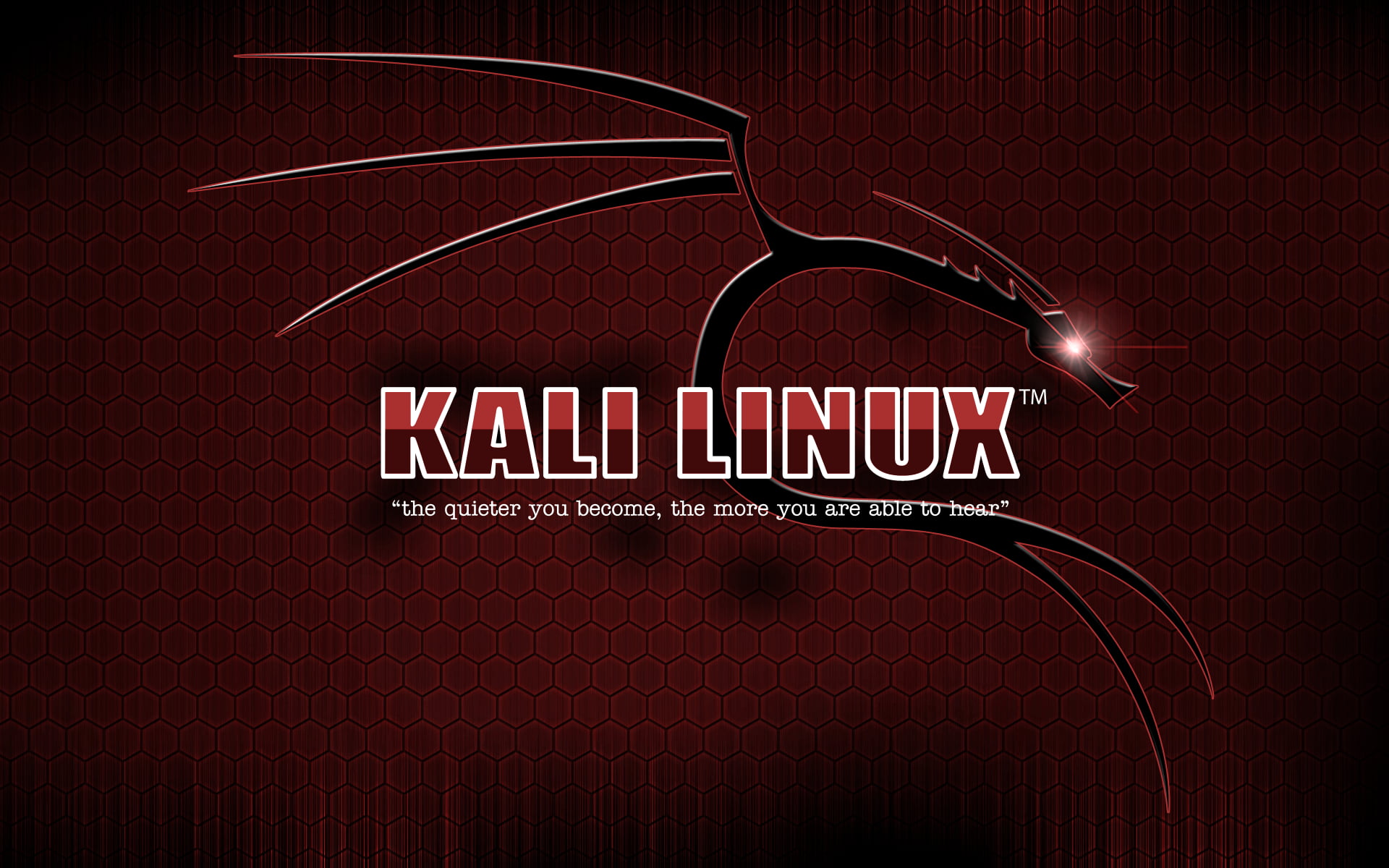 4k Desktop Kali Linux Wallpapers - Wallpaper Cave