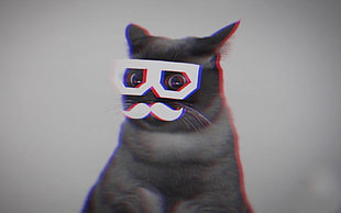 grey cat, cat, moustache, anaglyph 3D, Skifcha