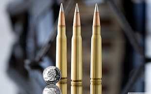 three brass ammunition, ammunition, coins, metal, money