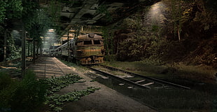 brown steel locomotive on middle of railway