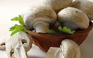 white mushrooms in brown wicker basket