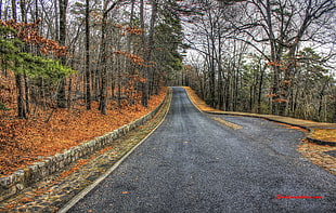 black asphalt road