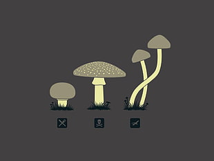 three mushrooms illustration HD wallpaper
