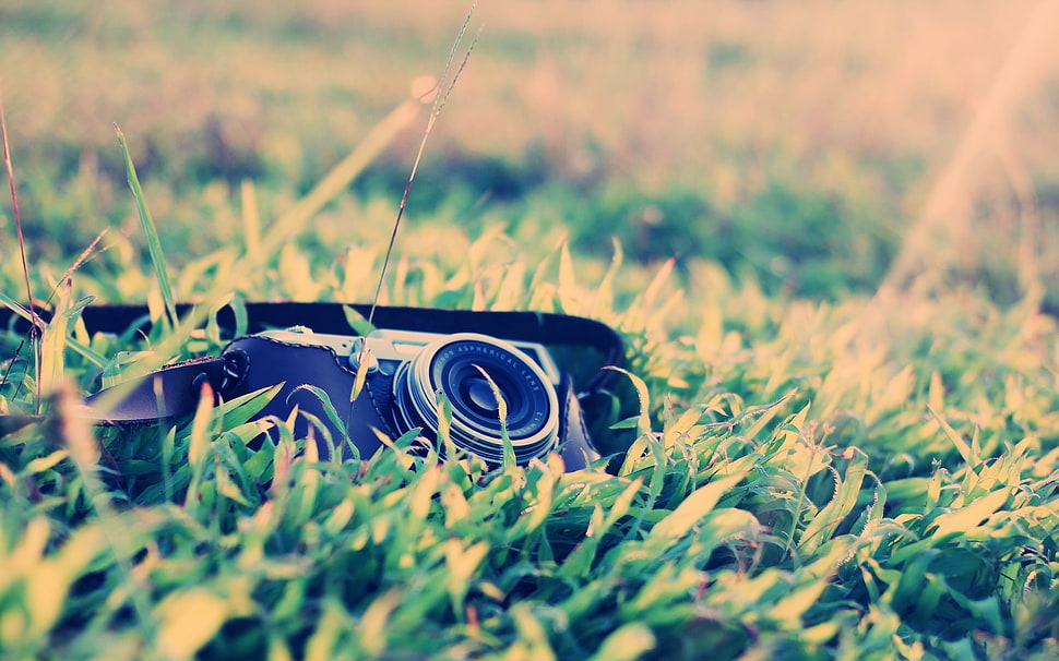 black DSLR camera on green grass HD wallpaper