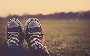 pair of black-and-white low-top sneakers on grass during daytime HD wallpaper