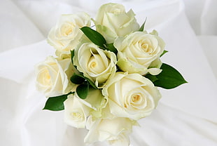 white Rose flower bouquet