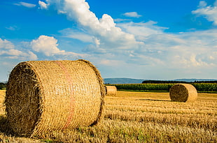 roll of hay at daytime
