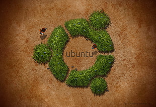green leaves, Linux, GNU, Ubuntu, mint