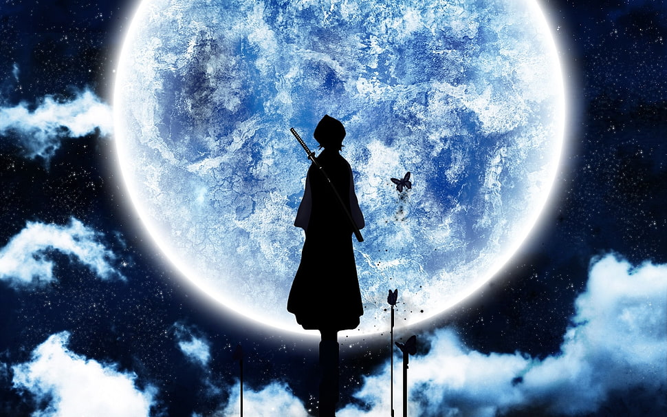 Rukia from Bleach, Kuchiki Rukia, Bleach, moonlight, Moon HD wallpaper