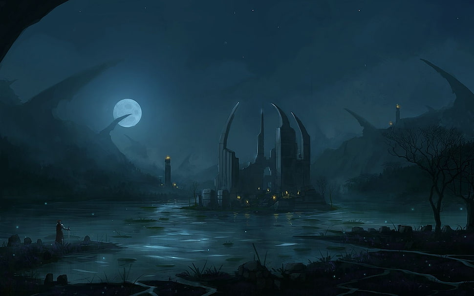 black castle photo during night time HD wallpaper