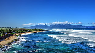 blue sea, tropical water, tropical forest, Hawaii, isle of Maui HD wallpaper