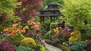 black gazebo, nature, trees, path, garden