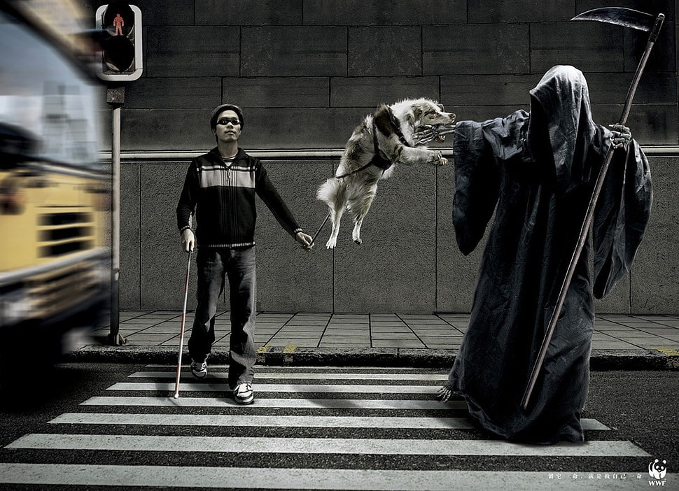 white and black dog, death, Grim Reaper, dog, animals HD wallpaper