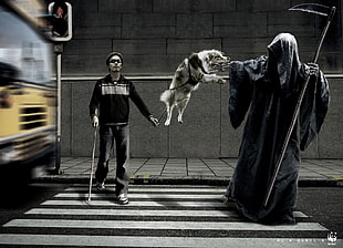 white and black dog, death, Grim Reaper, dog, animals
