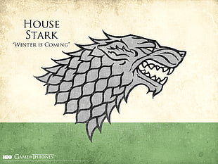 photo of House Stark Winter is Coming artwork HD wallpaper
