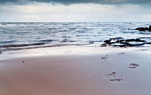 footprints on seashore during calm sky HD wallpaper