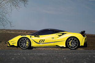 yellow and black supercar near bare tree during daytime HD wallpaper