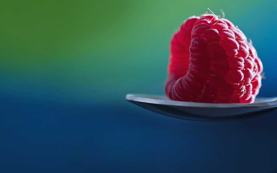 pink berry on spoon HD wallpaper