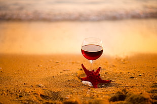 wine glass on beach sand with starfish during daytime