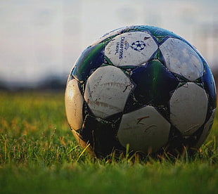 white and green soccer ball, soccer, ball, grass HD wallpaper